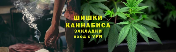 PSILOCYBIN Белоозёрский