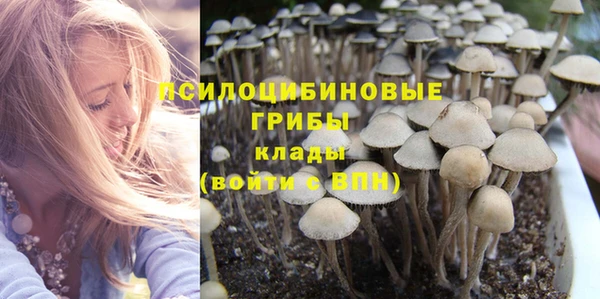 PSILOCYBIN Белоозёрский