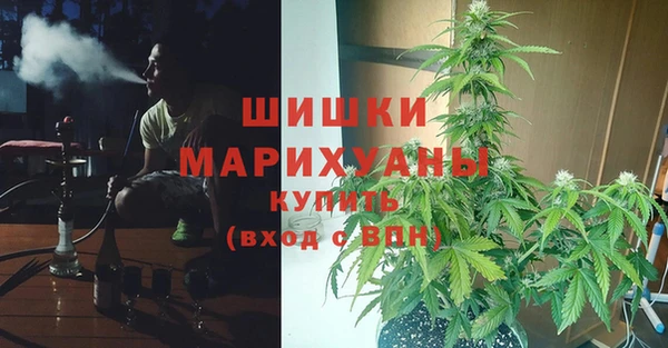 не бодяженный Белокуриха