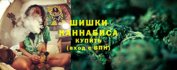 PSILOCYBIN Белоозёрский
