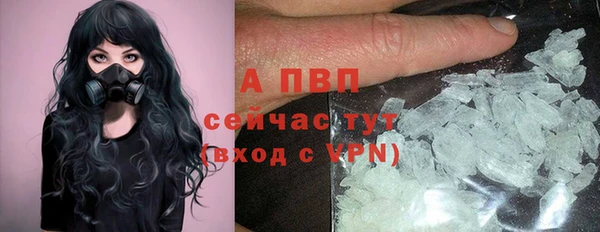 PSILOCYBIN Белоозёрский