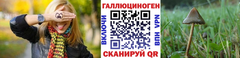 Галлюциногенные грибы Magic Shrooms  Невьянск 